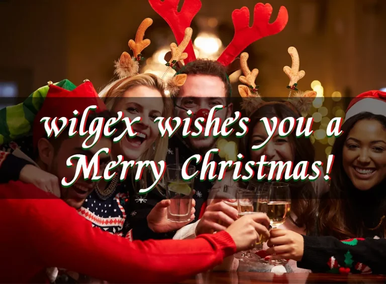 يتمنى لكم Wilgex عيد ميلاد سعيدًا ويتطلع إلى المزيد من فرص التعاون.