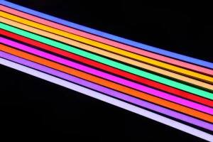 LED Neon Flex